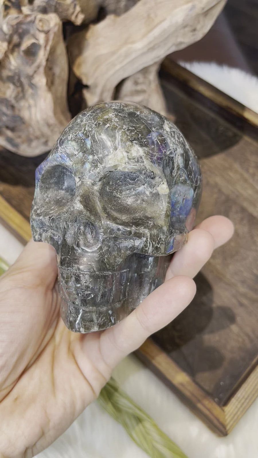 XL Labradorite Skull